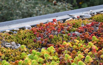 the cost of Crossmaglen green roof installation
